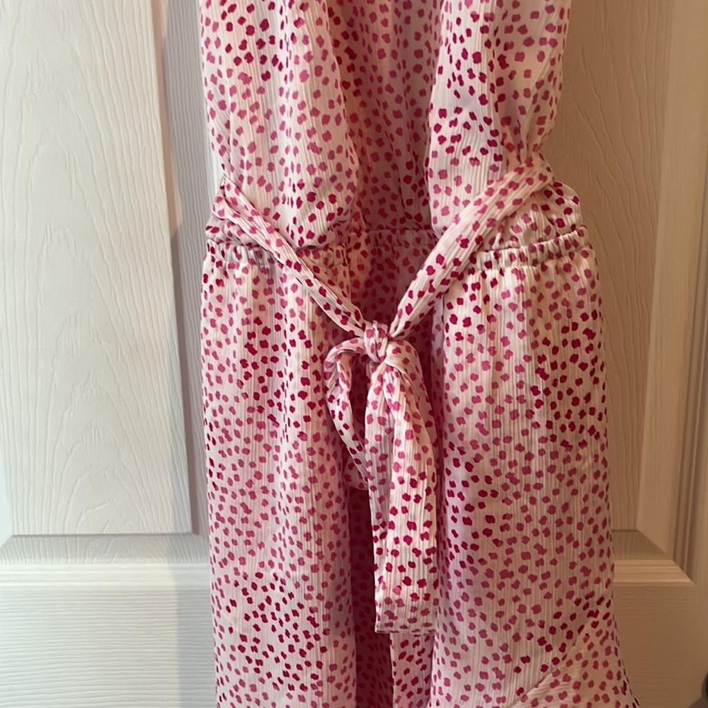 Express Dress - Picture 3 of 4